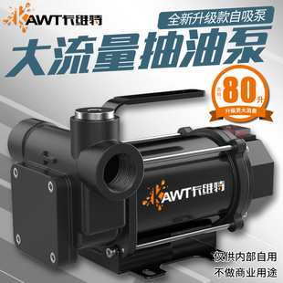 卡维特12v24v220v电动抽油泵大功率柴油抽油机大流量加油机小型