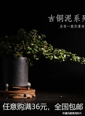 紫砂小花盆系列菖蒲复古怀旧