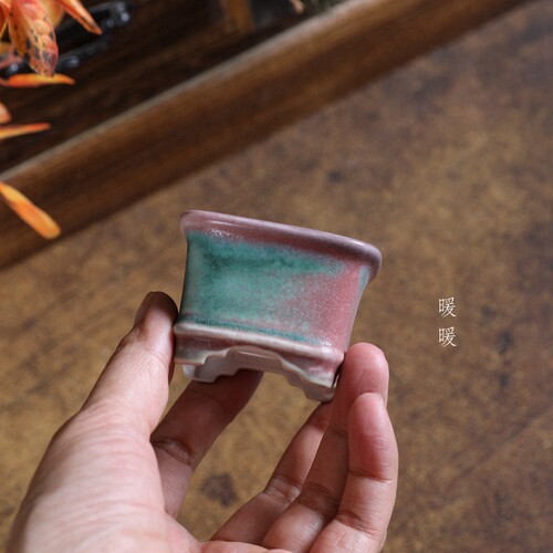 『底线小正方』暖暖精选微型釉盆陶瓷星宇微盆景绿植高温彩色