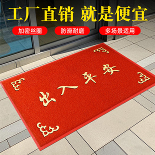家用门口地垫出入平安入户门垫玄关进门垫防滑耐脏户外除尘脚垫子