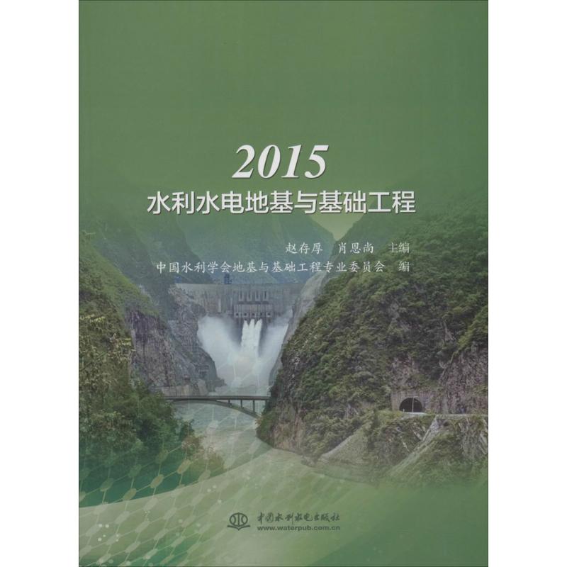 正版2015水利水电地基与基础工程赵存厚
