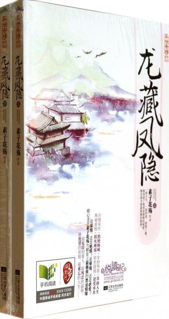 正版龙藏凤隐(上下)/异世奇情系列素子花殇