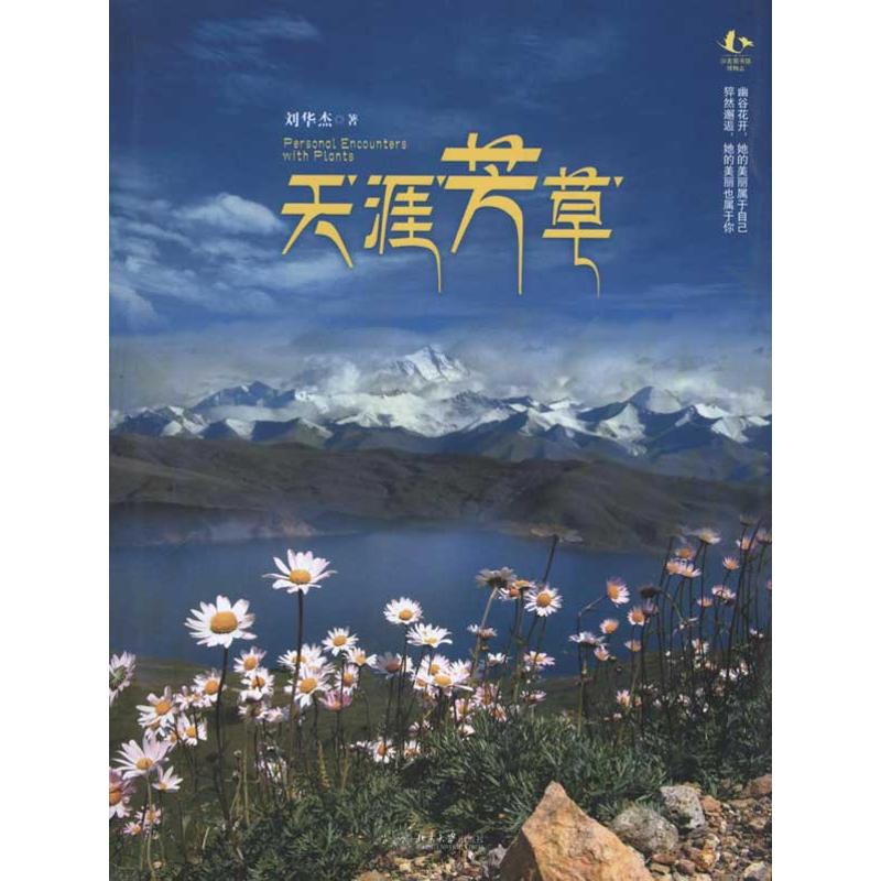 正版天涯芳草刘华杰
