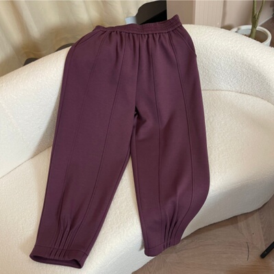 PWD33423【仅裤子】秋冬休闲通勤大码女装裤子【裤长92】