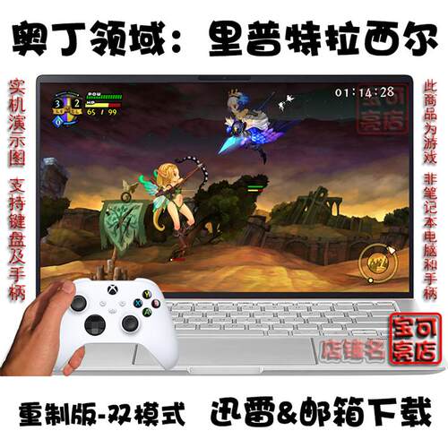 奥丁领域：里普特拉西尔PC游戏