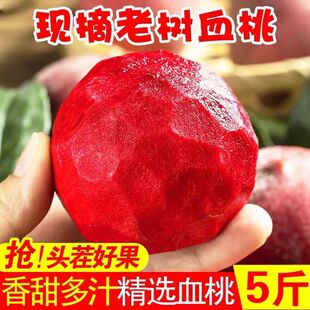 湖北正宗血桃当季新鲜桃子水果红心离核桃脆甜毛桃应季非水蜜桃