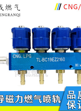 汽车天然气cng喷轨油改气改装配件喷轨气车用LPG液化气共轨喷气嘴
