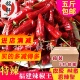 香辣型福建古田辣椒王干辣椒朝天椒卤料鸭货现捞鸭脖红辣椒500g