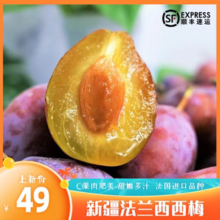 新疆喀什西梅纯甜李子法兰西小西梅爆甜多汁应季现摘新鲜孕妇水