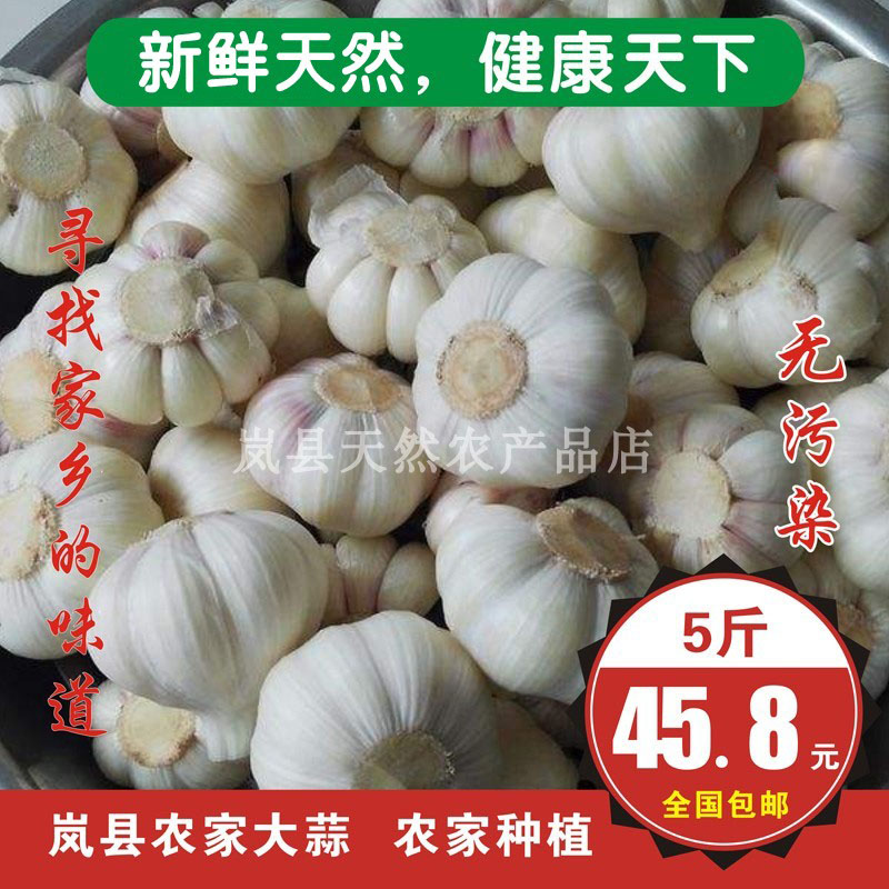 干大蒜头5斤装2025年新干蒜白紫皮大蒜子种农家自种山西岚县大蒜