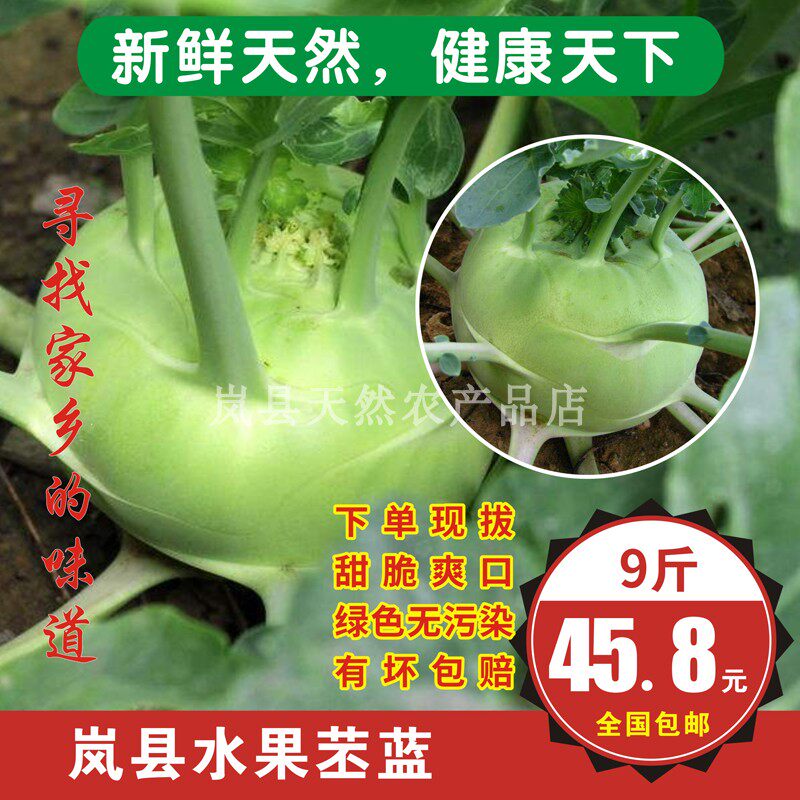 山西岚县农家自种新鲜苤蓝青苤蓝球茎甘蓝丕蓝兰蔬菜水果苤蓝9斤