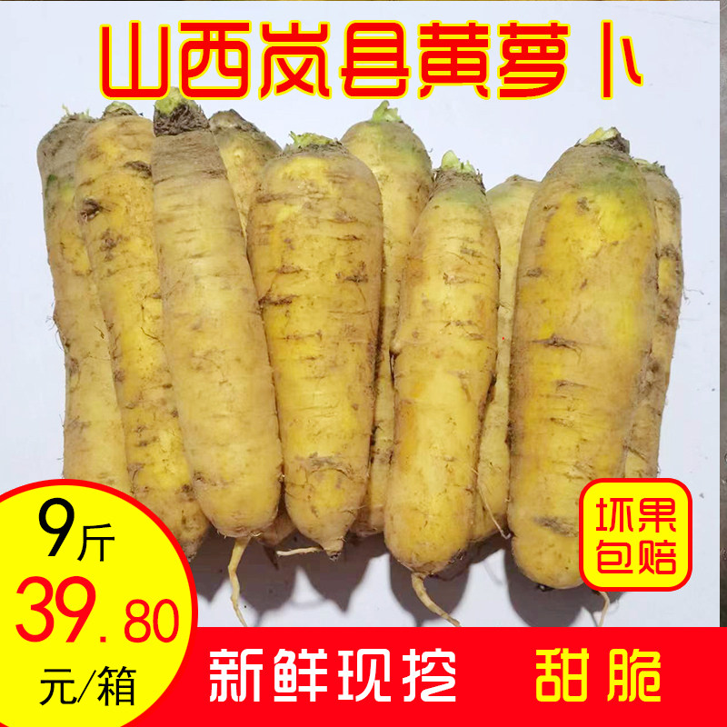 山西黄萝卜新鲜现挖手抓饭