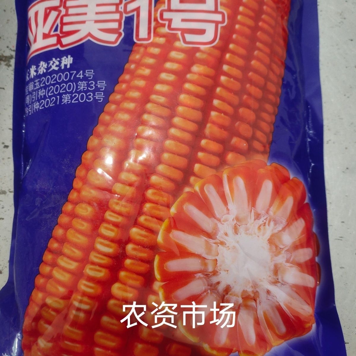 亚美1号 亚美一号杂交饲料玉米种子 穗轴白  抗病抗倒伏 高产