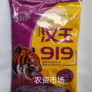 【热卖】汉玉919国审杂交玉米种子 穗轴红色  抗病抗倒伏 高产