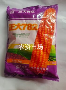 【热卖】正大782杂交玉米种子 包装纯热区品种品质好牙口深 1公斤