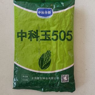 中科玉505玉米种正大999大棒轴细958抗青枯病3号叶面肥正品 1331