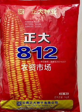 云南正大种子原装正品正大812 偏硬粒型杂交玉米种子 抗病 高产
