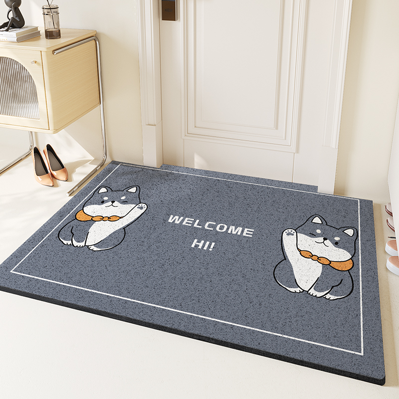 入户门地垫丝圈脚垫进门门口门垫除尘防滑垫子家用耐脏玄关地毯