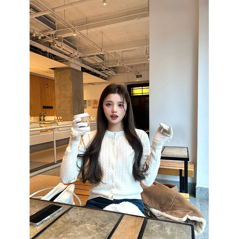 Lily Rosemary/ 「小情书」早春学院风刺绣乖乖针织开衫两色