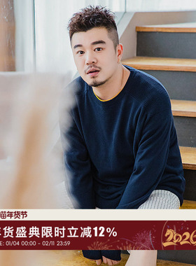 韦恩泽维尔胖子大码男装圆领针织衫宽松加肥加大复古毛衣男3773