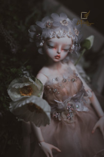 +++miracledoll +++ bjd/sd 4分 双关节 女娃《lisa》