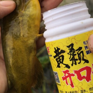黄颡开口粉黄颡窝王蚯蚓野钓库钓传统钓湖库浓腥味老g