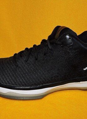 二手正品 AJ31 乔31篮球鞋44.5码