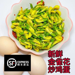 云南特产新鲜金雀花可食用鲜花阳雀花野菜花特色蔬菜煎蛋煲汤清炒