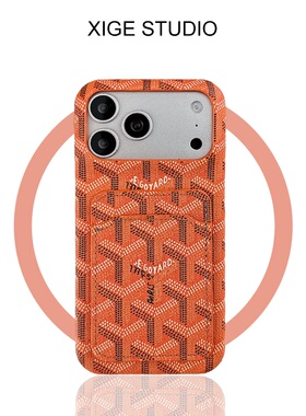 可插卡皮质纹适用于苹果17promax手机壳新款iPhone16promax/15promax/14promax/13promax潮牌戈雅狗牙橙色