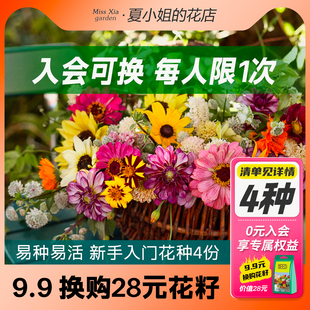 会员礼【入会9.9元换购28元花籽，仅可参与一次】易种花种4包