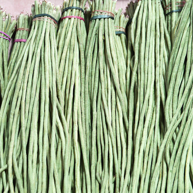 白玉豆角豇豆四季播种夏季秋季高产地栽盆栽花盆种菜蔬菜果蔬种子