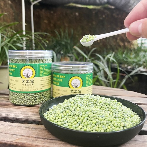 艺之宝绿肥兰花草叶中透