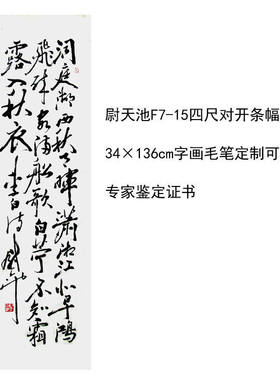 高精1:1临摹手写尉天池书法题字34×136cm名人名家字领导书法题字