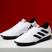 Giày Adidas Adidas giày nam TF mới keo gãy móng tay thi đấu thể thao giày bóng đá chống trượt EF7247 - Giày bóng đá