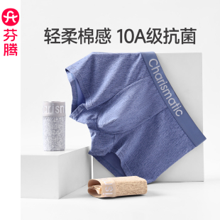 纯棉内裤 青年运动四角短裤 2025新款 男款 头 抗菌内裆平角裤 芬腾男士