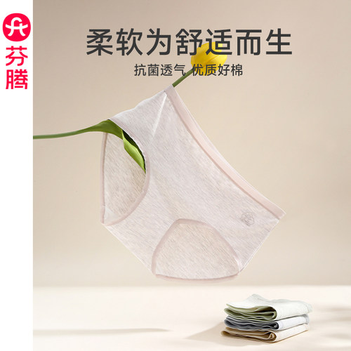 芬腾7a级抗菌纯棉内裆女款内裤