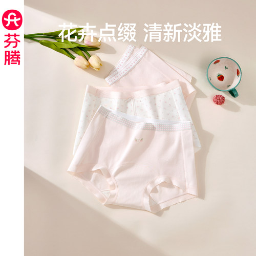 芬腾女士纯棉抗菌平角内裤
