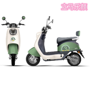 立马电动车乐颜原装配件喷漆件PP件灯具前泥板后视镜面板后挡泥板