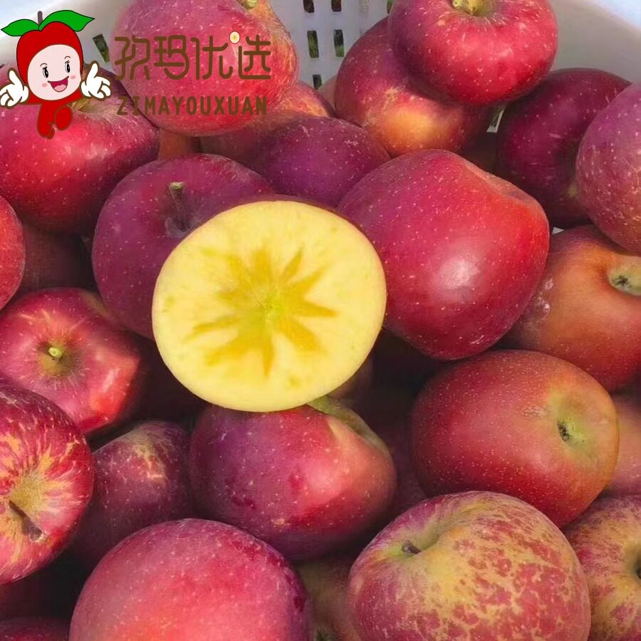 大凉山丑苹果盐源苹果冰糖心应季现摘高原野生新鲜水果产地直达