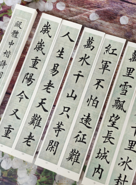 红色诗词沁园春雪七律长征楷书偏中楷毛笔字帖欧体近距离临摹卡