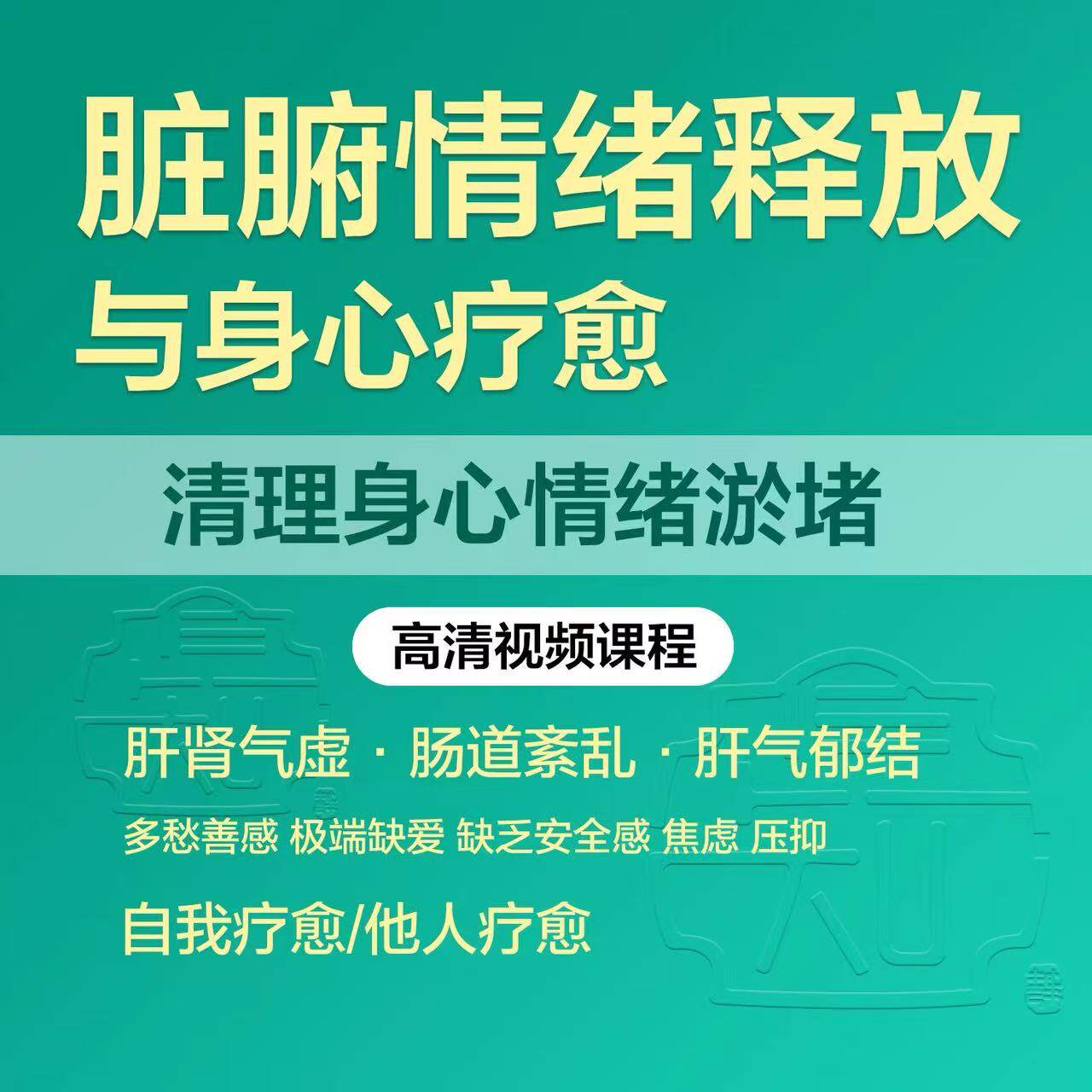 脏腑机能调理瑜伽五脏养生按摩情刻录盘个性化服务