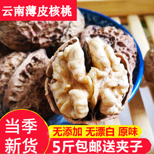 薄皮核桃云南纸皮核桃2023新货薄壳手剥山核桃办公室零食黑桃 包邮