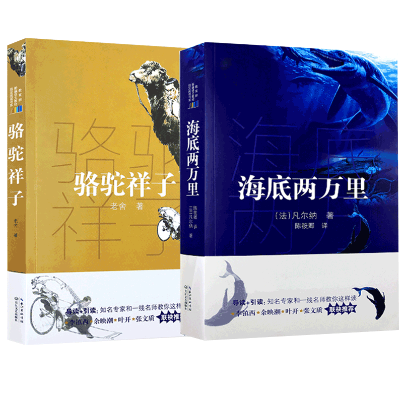 名著海底两万里骆驼祥子老舍