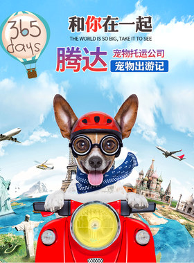老店温州宁波义乌飞机宠物托运