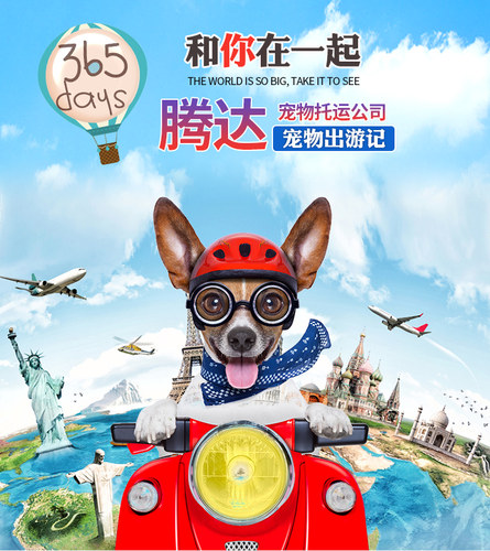 老店温州宁波义乌飞机宠物托运