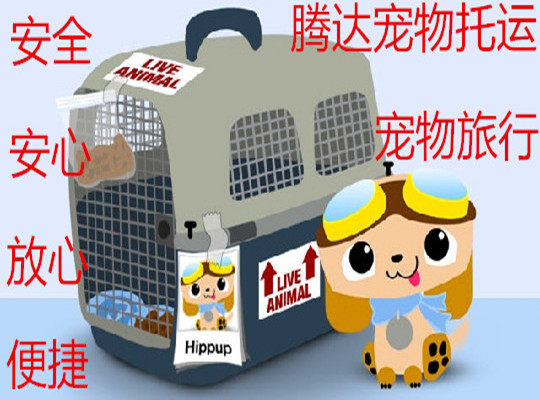 杭州义乌宁波 广州 深圳 宠物宠物托运