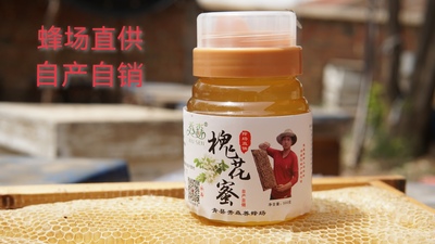 养蜂人自产自销纯正蜂蜜 2025年新洋槐花蜂蜜 槐花蜜 刺槐蜜 蜂蜜