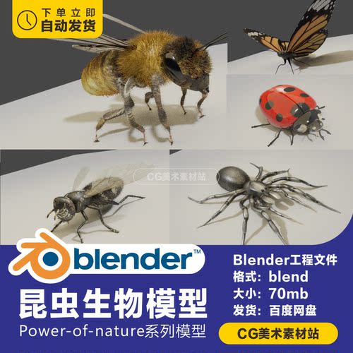 Blender动物生物昆虫蜜蜂蝴蝶苍蝇蜘蛛瓢虫3D模型素材