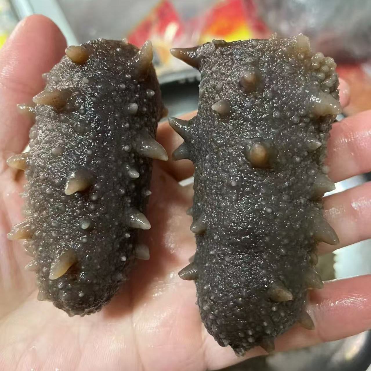 海参礼盒深海海参刺解冻即食正宗淡水鱼类