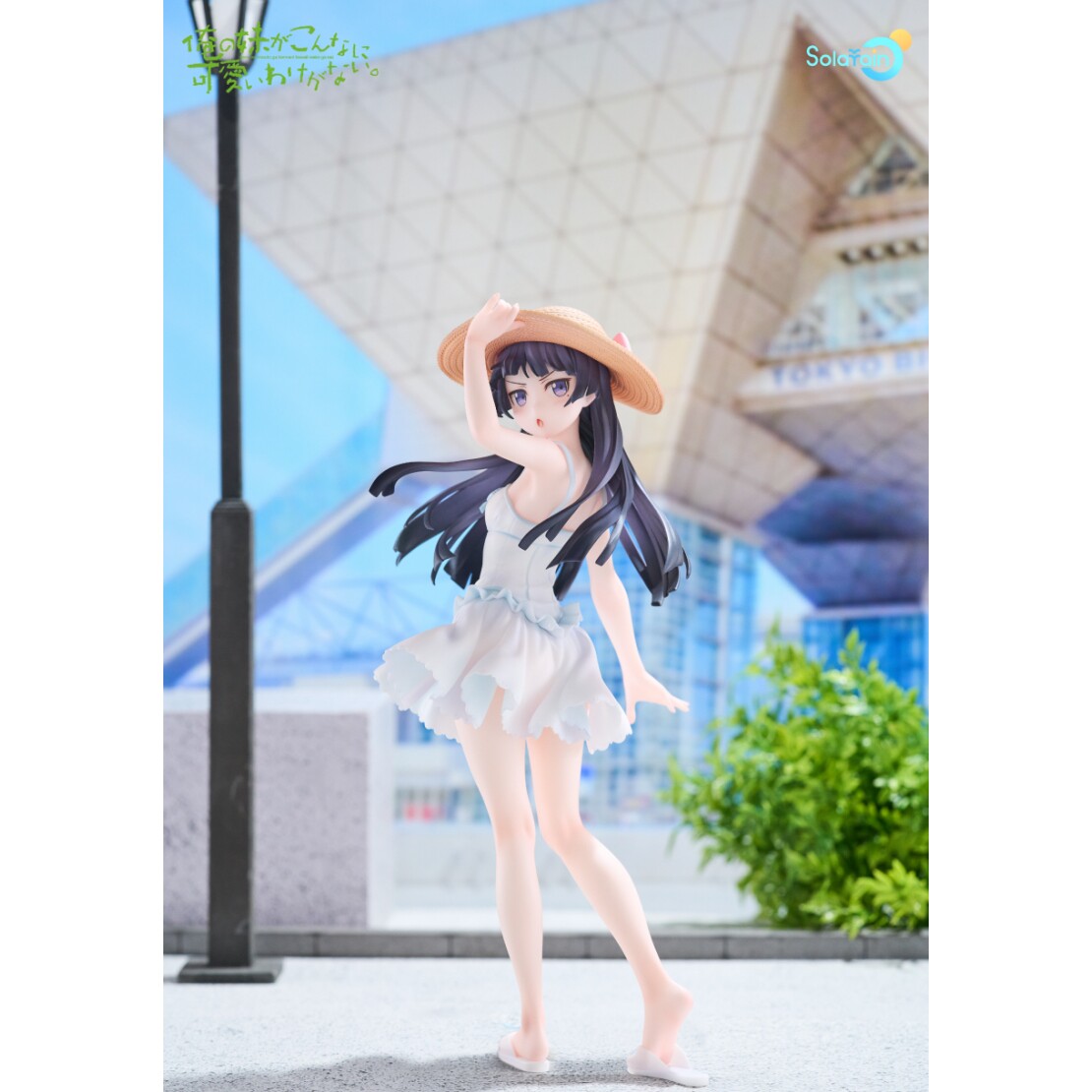 正版授权黑猫五更琉璃白猫